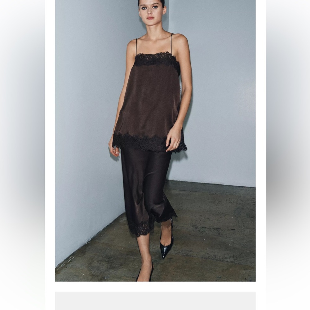 Zara Chocolate Brown Skirt